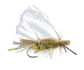 Chubby Chernoable-Gold